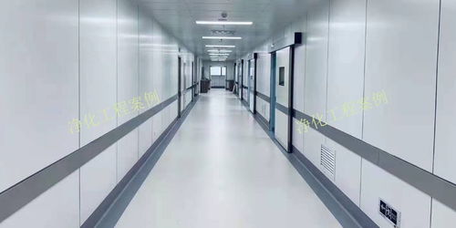 西北食品廠無塵室裝飾設(shè)計(jì)的核心要點(diǎn)與實(shí)踐